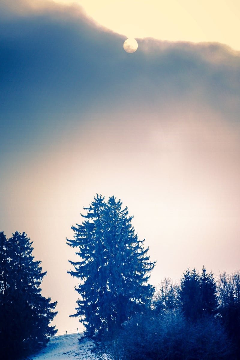 Mindful Strolls